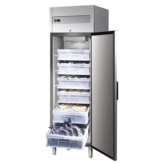 Kühlschrank für Fisch, Edelstahl, 600 Liter, -5° bis + 2 °C